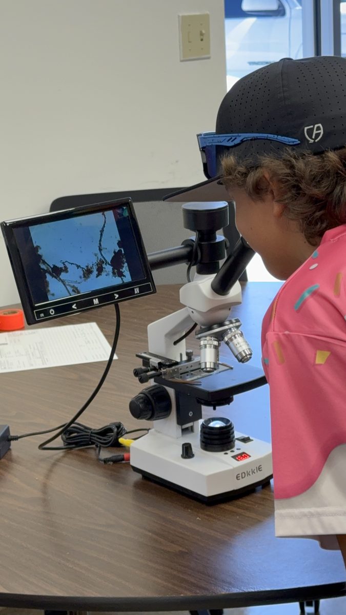 Hands-on science with a microscope at a Seasons Schoolhouse homeschool enrichment gathering, FL